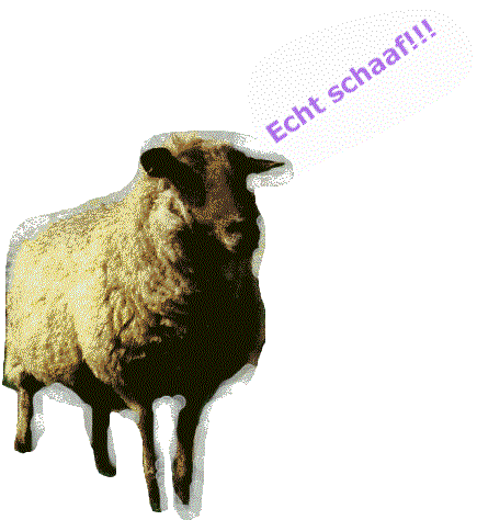 Copyright CVG2000 Medienb�ro K�nigsberg